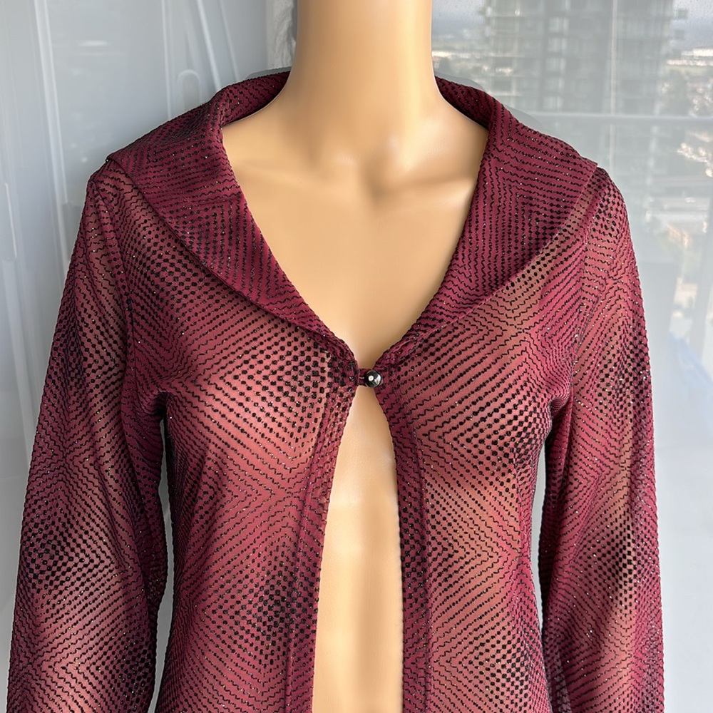 Vintage Sheer Robe/Nightgown - Picture 7 of 9